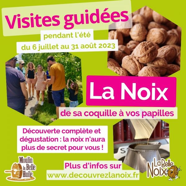 😎 Visites à la ferme : la noix, de sa coquille à vos papilles ! 😎